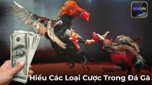 Hướng Dẫn Toàn Tập Cách Tham Gia Đá Gà Tại WINVN