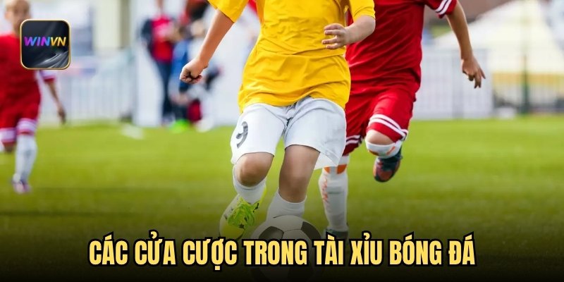 Các cửa cược trong tài xỉu bóng đá