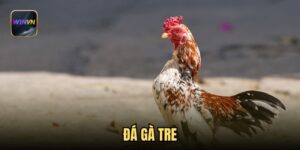 da-ga-tre