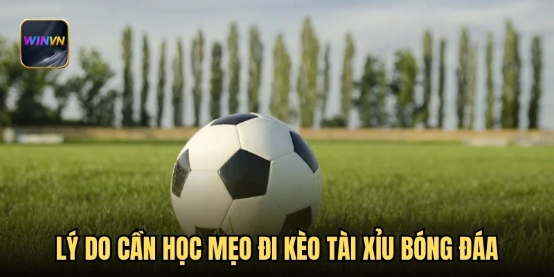 Lý do cần học mẹo đi kèo tài xỉu bóng đá